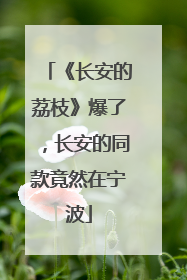《长安的荔枝》爆了，长安的同款竟然在宁波