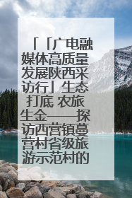 「广电融媒体高质量发展陕西采访行」生态打底 农旅生金——探访西营镇蔓营村省级旅游示范村的振兴密码