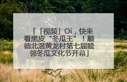 「视频」Oi，快来看黑皮“冬瓜王”！顺德北滘黄龙村第七届睦邻冬瓜文化节开幕