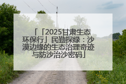 「2025甘肃生态环保行」民勤探绿：沙漠边缘的生态治理奇迹与防沙治沙密码