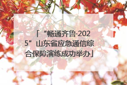 “畅通齐鲁·2025”山东省应急通信综合保障演练成功举办
