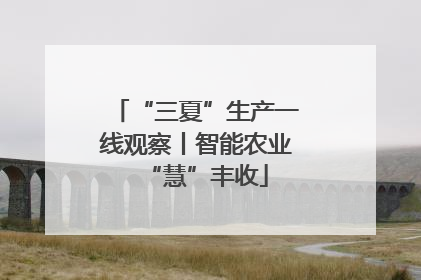 “三夏”生产一线观察丨智能农业“慧”丰收