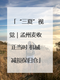 “三夏”视觉｜孟州麦收正当时 机械减损保归仓