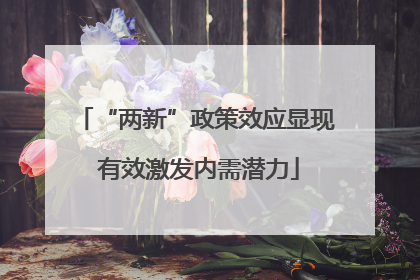 “两新”政策效应显现 有效激发内需潜力