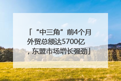 “中三角”前4个月外贸总额达5700亿，东盟市场增长强劲