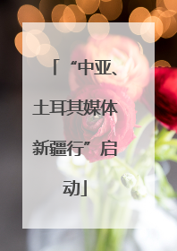 “中亚、土耳其媒体新疆行”启动
