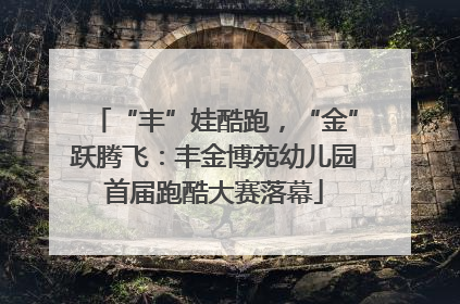 “丰”娃酷跑，“金”跃腾飞：丰金博苑幼儿园首届跑酷大赛落幕