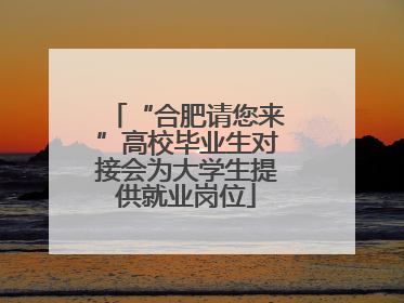 “合肥请您来”高校毕业生对接会为大学生提供就业岗位