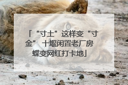 “寸土”这样变“寸金” 十堰闲置老厂房蝶变网红打卡地