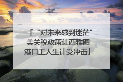 “对未来感到迷茫” 美关税政策让西雅图港口工人生计受冲击
