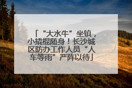 “大水牛”坐镇，小撬棍随身！长沙城区防办工作人员“人车等雨”严阵以待