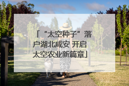“太空种子”落户湖北咸安 开启太空农业新篇章
