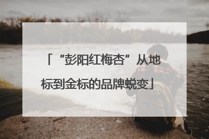 “彭阳红梅杏”从地标到金标的品牌蜕变