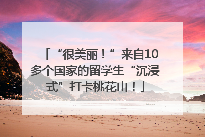 “很美丽！”来自10多个国家的留学生“沉浸式”打卡桃花山！