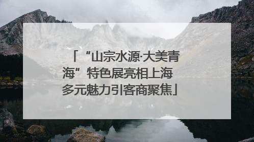 “山宗水源·大美青海”特色展亮相上海 多元魅力引客商聚焦