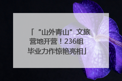 “山外青山”文旅营地开营！236组毕业力作惊艳亮相