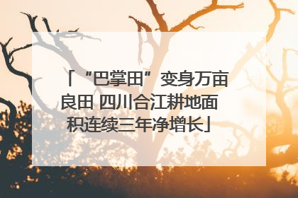 “巴掌田”变身万亩良田 四川合江耕地面积连续三年净增长