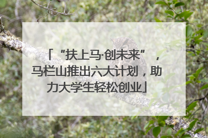 “扶上马·创未来”，马栏山推出六大计划，助力大学生轻松创业