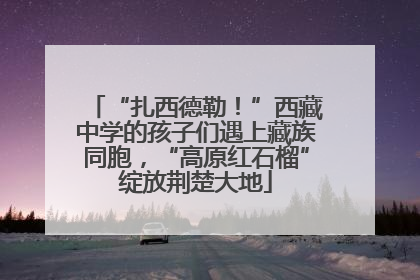 “扎西德勒！”西藏中学的孩子们遇上藏族同胞，“高原红石榴”绽放荆楚大地