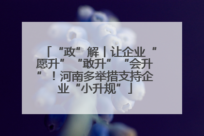 “政”解丨让企业“愿升”“敢升”“会升”！河南多举措支持企业“小升规”