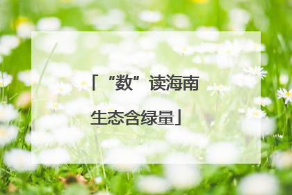 “数”读海南生态含绿量