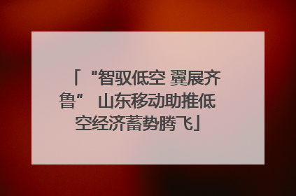 “智驭低空 翼展齐鲁” 山东移动助推低空经济蓄势腾飞