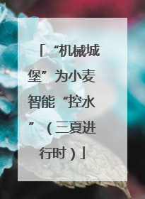 “机械城堡”为小麦智能“控水”（三夏进行时）