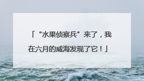 “水果侦察兵”来了，我在六月的威海发现了它！