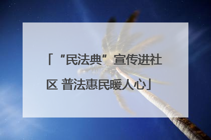 “民法典”宣传进社区 普法惠民暖人心