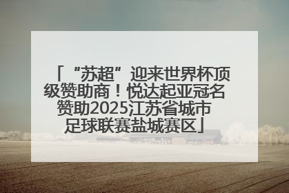 “苏超”迎来世界杯顶级赞助商！悦达起亚冠名赞助2025江苏省城市足球联赛盐城赛区