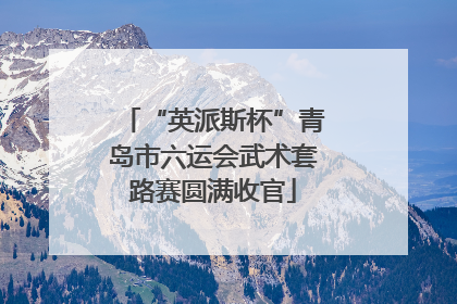“英派斯杯”青岛市六运会武术套路赛圆满收官