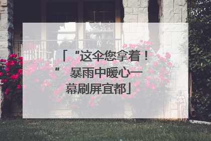 “这伞您拿着！” 暴雨中暖心一幕刷屏宜都