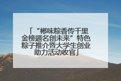 “郴味粽香传千里 金榜题名创未来”特色粽子推介暨大学生创业助力活动收官