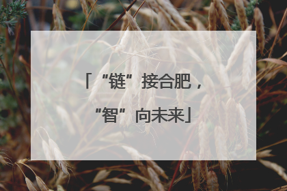 “链”接合肥，“智”向未来