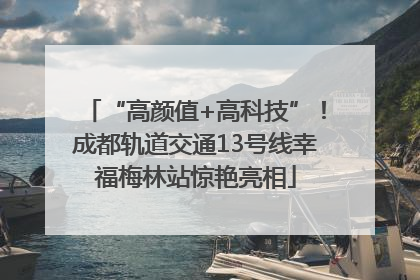 “高颜值+高科技”！成都轨道交通13号线幸福梅林站惊艳亮相