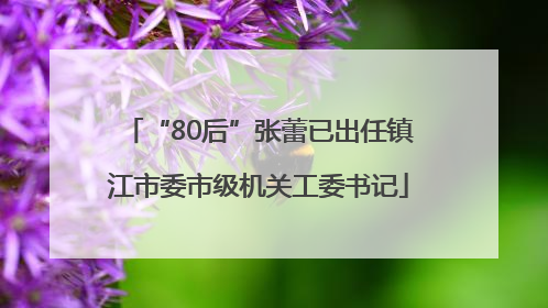 “80后”张蕾已出任镇江市委市级机关工委书记