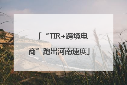 “TIR+跨境电商”跑出河南速度