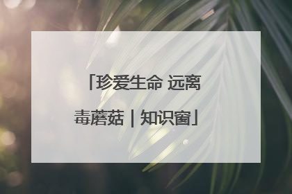 珍爱生命 远离毒蘑菇｜知识窗