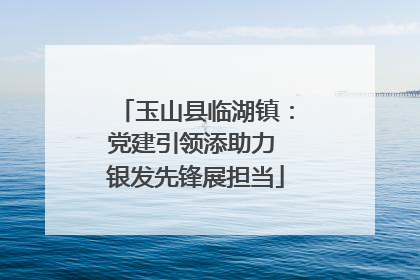 玉山县临湖镇：党建引领添助力 银发先锋展担当
