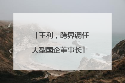 王利，跨界调任大型国企董事长