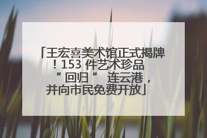 王宏喜美术馆正式揭牌！153 件艺术珍品 “ 回归 ” 连云港，并向市民免费开放
