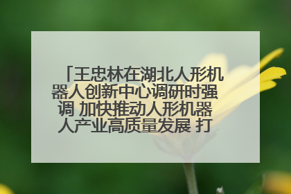 王忠林在湖北人形机器人创新中心调研时强调 加快推动人形机器人产业高质量发展 打造具有全国影响力的研发创新基地