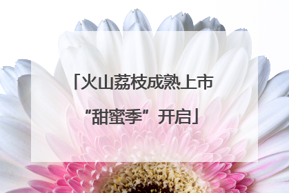 火山荔枝成熟上市 “甜蜜季”开启