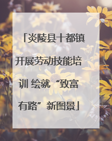 炎陵县十都镇开展劳动技能培训 绘就“致富有路”新图景
