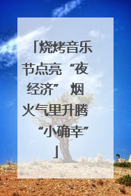 烧烤音乐节点亮“夜经济” 烟火气里升腾“小确幸”
