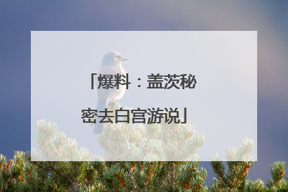 爆料：盖茨秘密去白宫游说