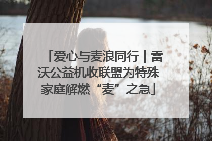 爱心与麦浪同行｜雷沃公益机收联盟为特殊家庭解燃“麦”之急