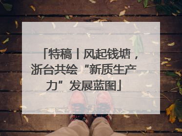 特稿丨风起钱塘，浙台共绘“新质生产力”发展蓝图