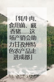 牦牛肉、食用菌、藏香猪……这场产销会助力甘孜州特色农产品走进成都