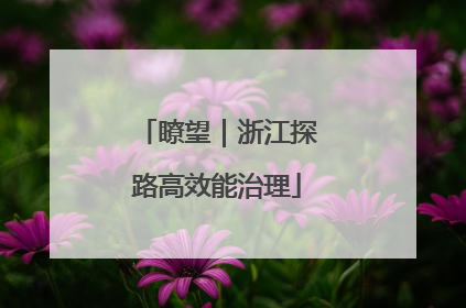 瞭望｜浙江探路高效能治理